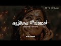 ප්‍රේමයෙ හිස්තැන් premaye histhan rap slowed and reverb nethmini ft. mahazona nish mood