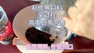 制作鱼饲料全过程，既简单又高营养高蛋白，鱼苗喜欢吃，针苗开口   养鱼小技巧，养鱼经验