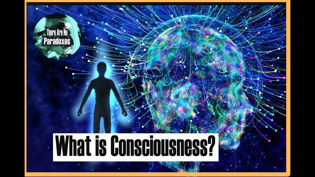 Uncovering The Mystery Of Consciousness: Is It Our Brain Or Something ...