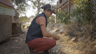 Patagonia® Women's Work Denim Vest