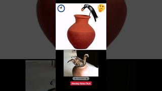 How does water remain cool in earthen pitcher/ clay pot? #science #shorts #ytshorts