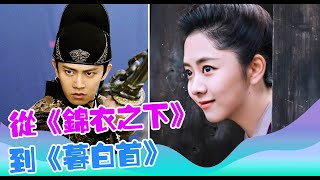 《錦衣之下》斬獲多個獎項，任嘉倫、譚松韻獲最受歡迎影視演員！