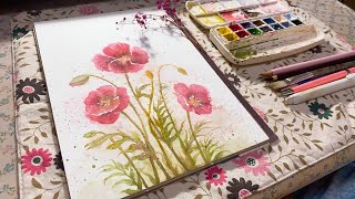 Speed Watercolor Drawing - Poppy Flowers - Coloring Process｜水彩手繪 -罌粟花 - 上色過程