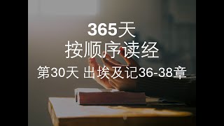 第30天出埃及记36-38章｜365天按顺序读经