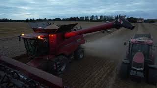 Combining Winter Wheat Harvest 2021