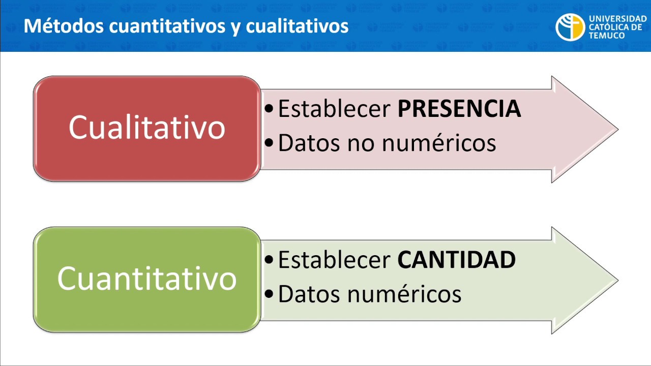 Evaluación Y Validación De Métodos En El Laboratorio Clínico 1: Métodos ...