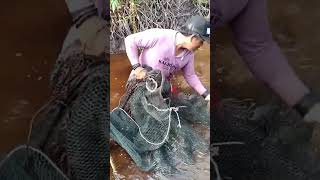 Adu Kehebatan Manusia Sama Ikan #shortvideo #shorts #short #mancing