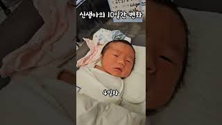 하루하루가 다른 신생아의 10일간 변화💙 #baby