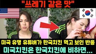 미국 유명 유튜버 한국치킨 먹고 보인 반응 한국 치킨 먹고 미국 치킨 먹어보니 쓰레기 같은 맛