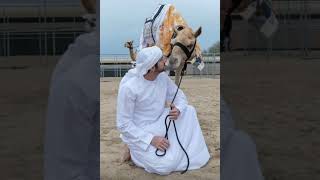 crown prince of Dubai/shaik Hamdan(fazza)bin Mohammed bin Rashid al maktoum #shorts#shaikhamdan#faz³