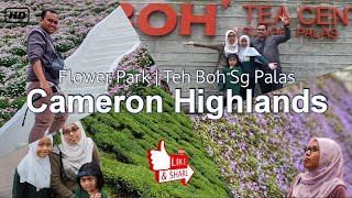 Cameron Highlands (Part 2) | Flora🌹 Park & Tea Boh Sg Palas 🇲🇾