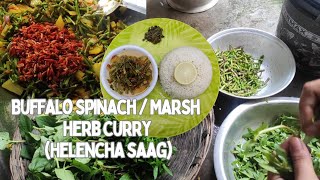 Buffalo spinach/Marsh herb recipe | Healthy food | Alaishi wngkhrwi | হেলচী শাক | Helencha saag