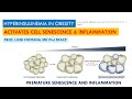 HYPERINSULINEMIA IN OBESITY ACTIVATES PREMATURE SENESCENCE AND INFLAMMATION | NATURE MEDICINE 2021