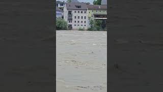 Hochwasser am Rhein #Hochwasser #Rhein #säckingen