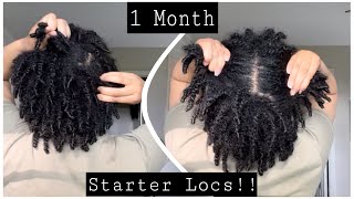 1 Month Two Strand Starter Locs | Story-time | LOC Journey