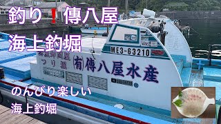 【傳八屋】釣り❗️海上釣堀　のんびり楽しい海上釣堀