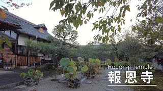 【京都散歩】報恩寺/Houon-ji Temple（Kyoto, Japan）