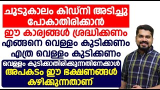 ചൂടുകാലം കിഡ്‌നി അടിച്ചു പോകാതിരിക്കാൻ ഈ കാര്യങ്ങൾ ശ്രദ്ധിക്കണം | Dr Bibin Jose