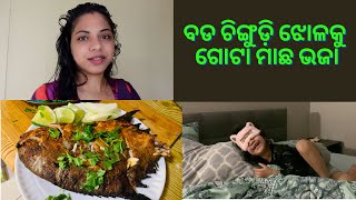 କାହିଁକି ଏତେ ଦିନ ହେଲାଣି ଆସୁନଥିଲା ଭିଡ଼ିଓ | Odia Life in USA