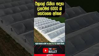 ඊශ්‍රායල් රැකියා සඳහා 6000 ක් තෝරගෙන අවසන්  #thebullet #israelagriculture #dasun #shorts #jobvisa