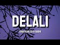 Cheb Khaled & Gashi - Delali(Lyrics)