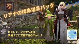 【ネタバレ注意】【黒い砂漠】リアナの採集道具バッグ｜シェナベルのゲーム部屋