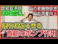 【脳に栄養巡る】首や肩甲骨のポンプ作用で脳への脳血流量を高め老廃物を流して脳を若返えらせるストレッチ