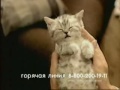 Реклама whiskas набор Мой первый whiskas 2005