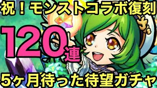 【コトダマン】5ヶ月越しの再会…！復刻のモンストコラボガチャ120連！【ゆっくり実況】