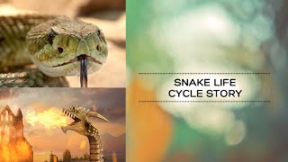 The Life Cycle of a Snake: A Story