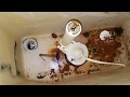 How To Remove Rusted Toilet Bowl Tank Bolts