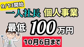 最低100万円から9月13日開始・従業員がいない一人社長・個人事業主はどうする事業再構築補助金【中小企業診断士YouTuber マキノヤ先生】第1551回