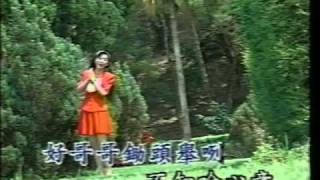 農村黃昏時  : 1994年南星唱片出版 //  高麗秋 唱