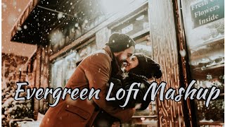 Evergreen Valentine Love Mashup | Non Stop Love Mashup | Bollywood Non Stop Song