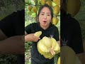 Asmr eating Durian at Farm tiktok videos #shorts