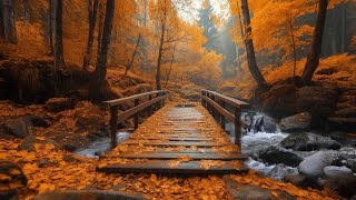 Relaxing Autumn River with Light Rain Sounds | Calm Nature for Sleep, Study \u0026 Stress Relief\