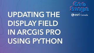 Updating the Display Field in ArcGIS Pro Using Python