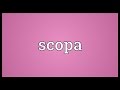Scopa Meaning