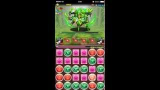 【パズドラ】アンケートダンジョン10　Sランククリア　ヴェルダンディ