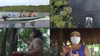 Indígenas de Brasil intentan combatir el nuevo coronavirus con hierbas medicinales | AFP