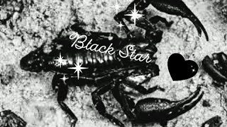 Black Star