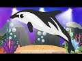 learning video of dolphins for kids learning sea animals for kids