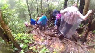 Hiking at the Brownsberg Nature Park on a rainy day - Suriname