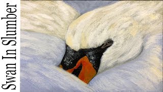 How to paint a Swan In acrylic