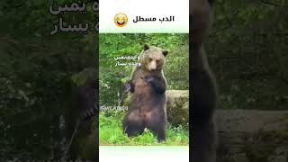 دب بني يرقص مدبلج كوميدي 😂 | #دبلجة_مضحكة #ضحك #اكسبلور #funny #السعودية #my_kingo #كوميديا #دب #ضحك