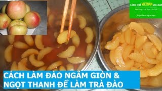 🌿MTVV🌿 ||CÁCH LÀM ĐÀO NGÂM GIÒN & NGỌT THANH ĐỂ LÀM TRÀ ĐÀO - Làng quê Việt Nam village