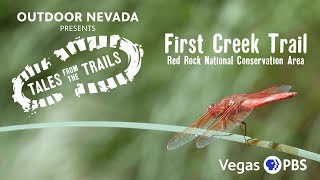 First Creek Canyon Trail | Tales from the Trails