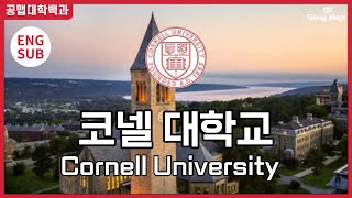 [공맵대학백과] 코넬 대학교┃Cornell University(ENG SUB)