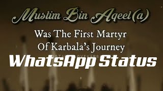 Shahadat e Muslim Bin Aqeel WhatsApp Status | Muslim Bin Aqeel |by Labbik Ya Hussainع