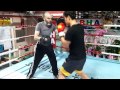 복싱레슨 boxing lesson 원 투 u0026 레프트훅 미트치기 연습